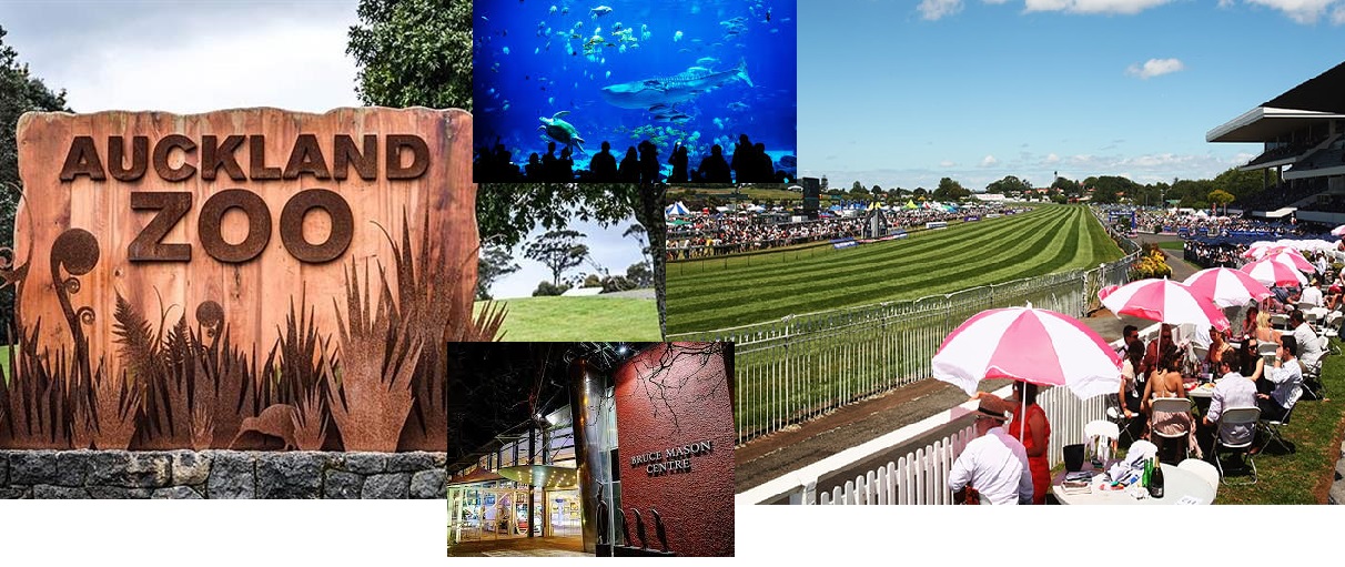 auckland attractions