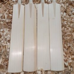 English willow cricket bat