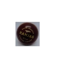 120 Red Premium Leather Cricket balls - for 50 overs cricket match