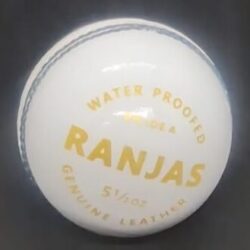 120 white Premium Leather Cricket balls - for 50 overs cricket match